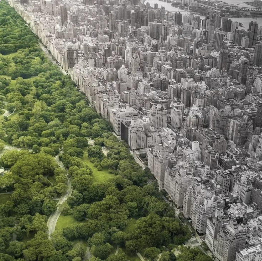 Landscape and Visual Impact Assessments (LVIAs)